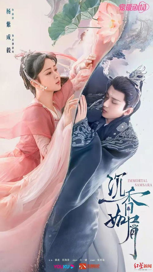 楊紫 單飛 歡瑞世紀為何留不住 頂流